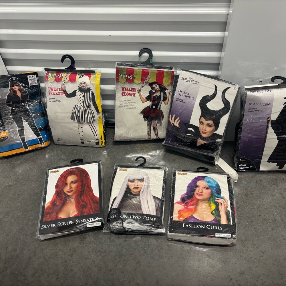 Assorted Costume Wigs and Accessories